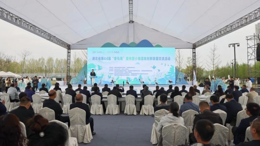 守护飞羽精灵 共绘生态画卷&mdash;&mdash;湖北省第44届&ldquo;...